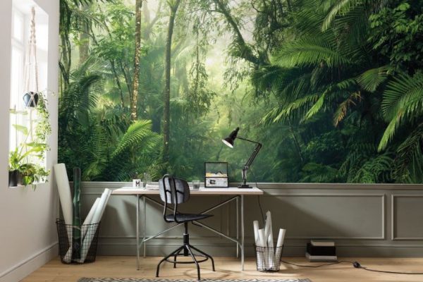 tranh vẽ tường rừng nhiệt đới